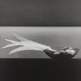 Feathers and Eggs by Robert Mapplethorpe, 1985, Gelatin silver print, sold Apr 2018