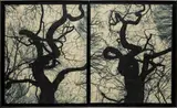 Doug Starn and Mike Starn, Blot Out the Sun #1, 1998-1999, Lysonic inkjet prints on thai mulberry and tissue papers with wax encaustic and wax in two parts