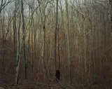 Alec Soth, 2006_03zl0016 (Monk in Woods), 2006, Archival pigment print, printed 2011