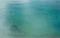 Richard Misrach, Untitled #833-02, 2002, Chromogenic print, flush-mounted