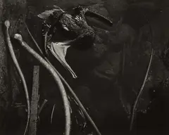 Tide Pool, Point Lobos by Edward Weston, 1945, Gelatin silver print, sold Oct 2018