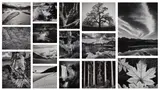 Ansel Adams, Portfolio Four: What Majestic Word. In Memory of Russell Varian