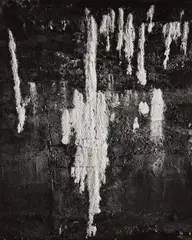 The Wall by Frederick Sommer, 1951, Gelatin silver print, probably printed in the 1970s, sold Oct 2018
