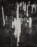 Frederick Sommer, The Wall