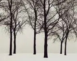 Chicago by Harry Callahan, circa 1949, Gelatin silver print, printed later, sold Oct 2018