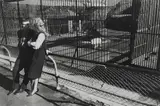 Garry Winogrand, New York