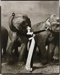 Richard Avedon, Dovima with elephants, Evening dress by Dior, Cirque d’Hiver, Paris, August, 1955, Gelatin silver print, printed later