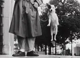 Elliott Erwitt, Paris