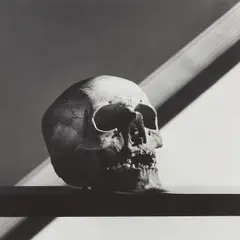 Robert Mapplethorpe, Skull, 1988, Gelatin silver print
