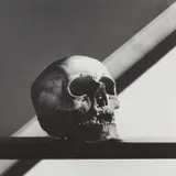 Skull by Robert Mapplethorpe, 1988, Gelatin silver print, offered Oct 2018