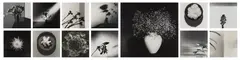 Robert Mapplethorpe, Y Portfolio, Washington D.C.: Harry Lunn; New York: Robert Miller; London: Robert Self, 1978. Thirteen selenium toned gelatin silver prints