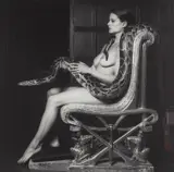 Robert Mapplethorpe, Lisa Lyon, 1982, Gelatin silver print, flush-mounted
