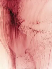 Wolfgang Tillmans, Freischwimmer 20, 2003, Inkjet print
