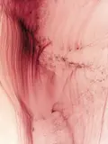Wolfgang Tillmans, Freischwimmer 20, 2003, Inkjet print