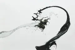 Shinichi Maruyama, Kusho #2, 2006, Archival pigment print