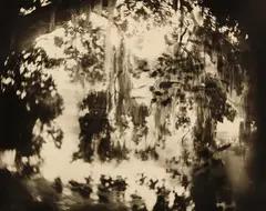 Untitled from Deep South by Sally Mann, 1998, Toned gelatin silver print, sold Oct 2018