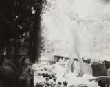 Sally Mann, The Perfect Tomato