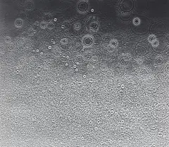 Untitled by Adam Fuss, n.d., Unique gelatin silver print, offered Oct 2018