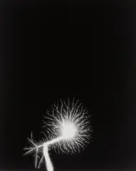 Lightning Fields 145 by Hiroshi Sugimoto, 2009, Gelatin silver print, sold Oct 2018