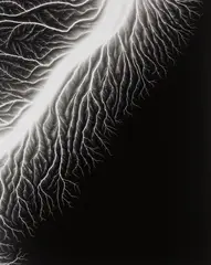 Lightning Fields 128 by Hiroshi Sugimoto, 2009, Gelatin silver print, sold Oct 2018