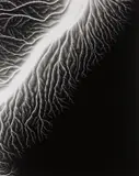Lightning Fields 128 by Hiroshi Sugimoto, 2009, Gelatin silver print, sold Oct 2018