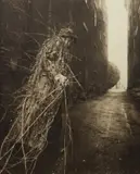 Earthcoat by Robert ParkeHarrison and Shana ParkeHarrison, 2002, Gelatin silver print with acrylic paint and varnishes, flush-mounted to artists' wood frame, offered Oct 2018
