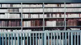 Bibliotheca Thysiana Leiden I by Candida Höfer, 2003, Chromogenic print, flush-mounted, sold Oct 2018