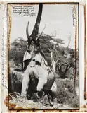 Peter Beard, Elephant reaching for the last branch on a tree, Kenya