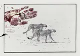 Peter Beard, Two Cheetahs hunting for the End of the Game/Last Word from Paradise
