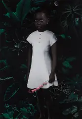 Moon #1 by Ruud van Empel, 2005, Dye destruction print, face-mounted to Plexiglas, sold Oct 2018