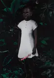 Ruud van Empel, Moon #1