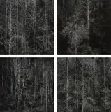Harry Callahan, Georgia Mountains, Winter
