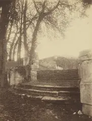 Eugène Atget, St. Cloud, 1926, Matte albumen print