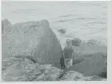Sigmar Polke, Untitled (Self-Portrait at the Shore), 1973, solarized gelatin silver print