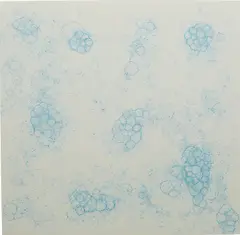 Tara Donovan, Untitled (Bubble Drawing), 2004, ink on foam board