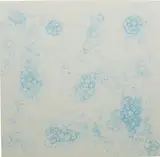 Tara Donovan, Untitled (Bubble Drawing), 2004, ink on foam board