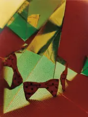 Eileen Quinlan, Cock Rock, 2011, chromogenic color print