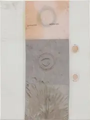 Ross Iannatti, Hysteresis no. 58, 2013, silicone-coated nylon fabric, sodium azide and residue on wood