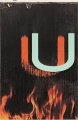 Wade Guyton, Untitled, 2005, Epson Ultrachrome inkjet on linen