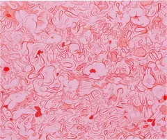 Frequencies by Sue Williams, 2006, oil and acrylic on canvas, sold May 2017