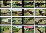 Ólafur Elíasson, The Earthquake Series