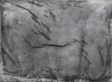 Rudolf Stingel, Untitled