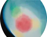 James Rosenquist, Paramus, 1966, oil on shaped canvas