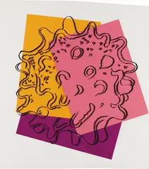 Andy Warhol, Cells, 1983, silkscreen ink, paper collage, tape and acetate on board