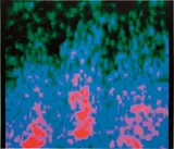 Jack Goldstein, Untitled, 1986-1988, acrylic on canvas