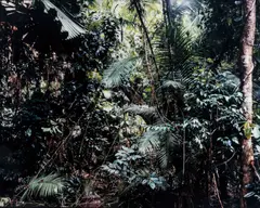 Thomas Struth, Paradise 6, Daintree/Australien, 1998, color coupler print mounted to Plexiglas