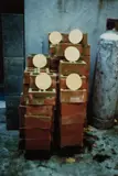 Gabriel Orozco, Tortillas y Ladrillos (Tortillas and Bricks)