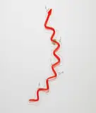 Katja Novitskova, Growth Potential (not yet titled), 2014, digital print on film, urethane rubber, insects and leaves
