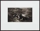 Robert Longo, Study of F16 Jet, 2016, ink and charcoal on vellum, in artist's frame