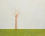 Hiroshi Sugito, The Big Tree